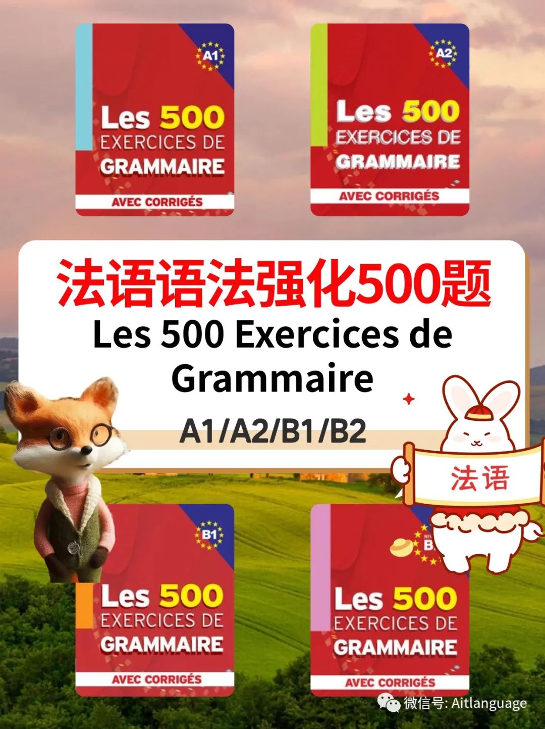 法语语法强化500题Les 500 Exercices de Grammaire A1 A2 B1 B2 适合自学或者课堂上使用