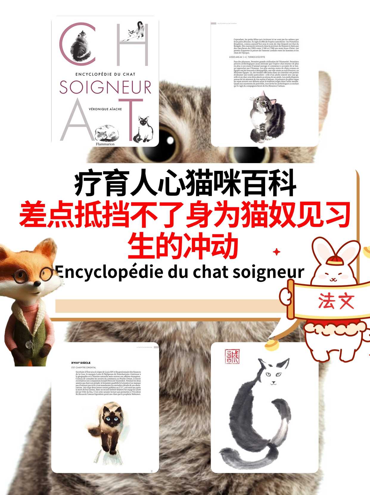 疗育人心猫咪百科差点抵挡不了身为猫奴见习生的冲动 Encyclopédie du chat