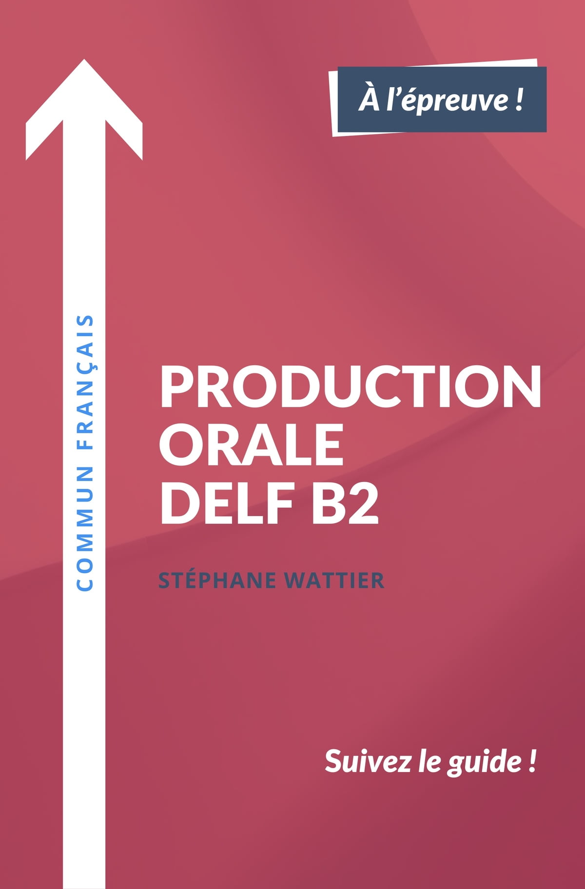 备考 DELF B2 口试 攻略 超接地气 Production orale DELF B2 Stéphane Wattier